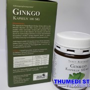 Ginkgo.2(600x450)