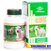 Sheep placenta_B