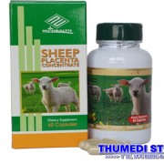 Sheep placenta_C