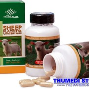 Sheep placenta_D