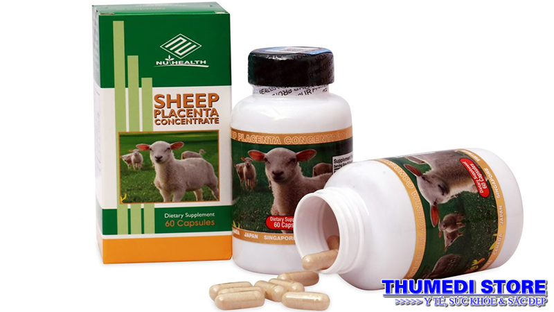 Sheep placenta_E